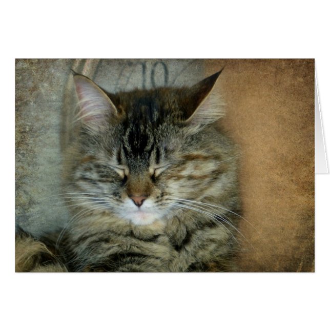 Bob (Front Horizontal)