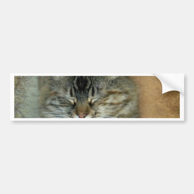 Bob Bumper Sticker (Front)