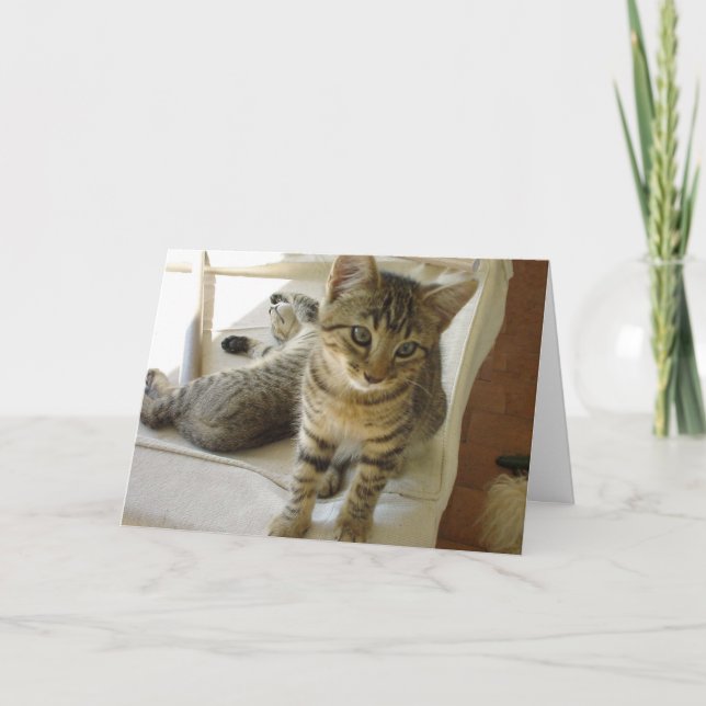 Bob Cat Birthday Card (Front)