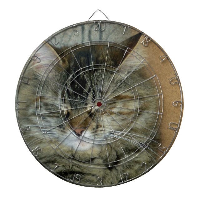 Bob Dartboard (Front)