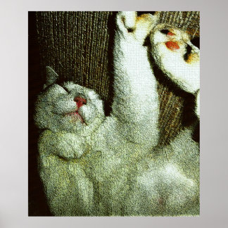 Bob Enjoying A Snooze Poster