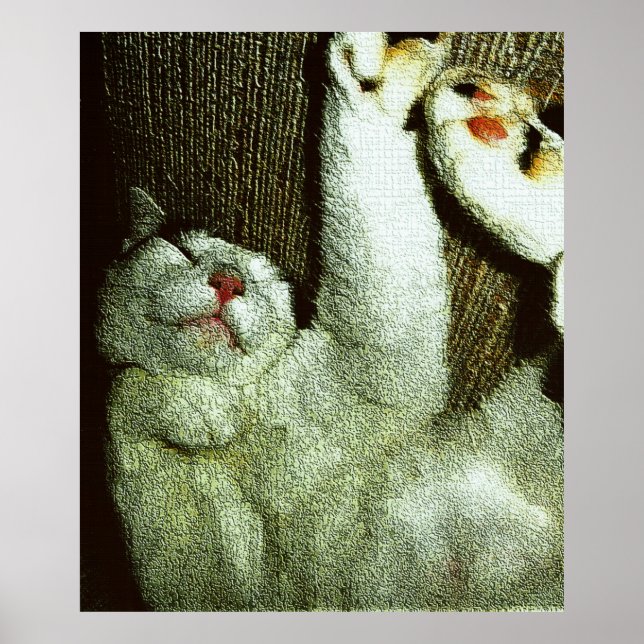 Bob Enjoying A Snooze Poster (Front)