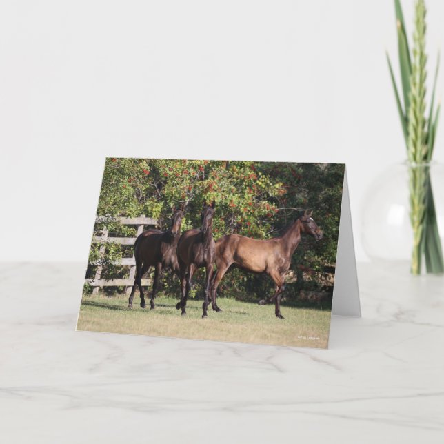 Bob Langrish | 3 Andalucian Youngsters Standing Card (Front)