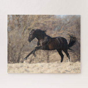 Bob Langrish   Andalucian Running Jigsaw Puzzle