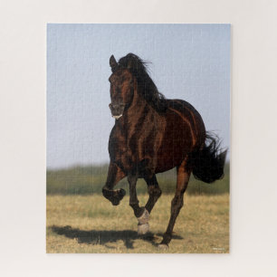 Bob Langrish   Andalucian Stallion Running Jigsaw Puzzle