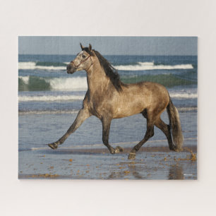 Bob Langrish Andalucian Stallion Running On Beach Jigsaw Puzzle