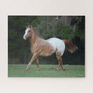 Bob Langrish   Appaloosa Horse Running Jigsaw Puzzle