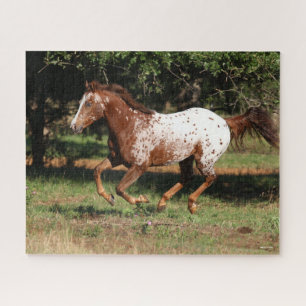 Bob Langrish   Appaloosa Horse Running Jigsaw Puzzle