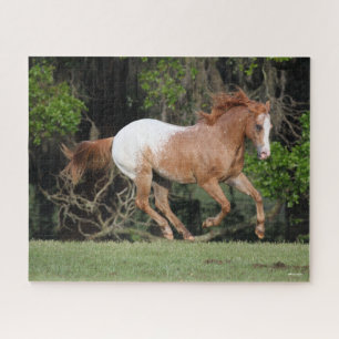 Bob Langrish   Appaloosa Running Jigsaw Puzzle