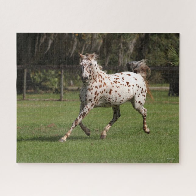 Bob Langrish | Appaloosa Running Jigsaw Puzzle (Horizontal)