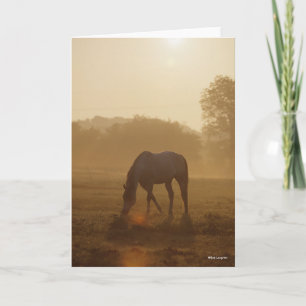 Bob Langrish   Arab Grazing At Sunset Card