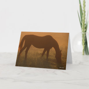 Bob Langrish   Arab Grazing In The Mist Card