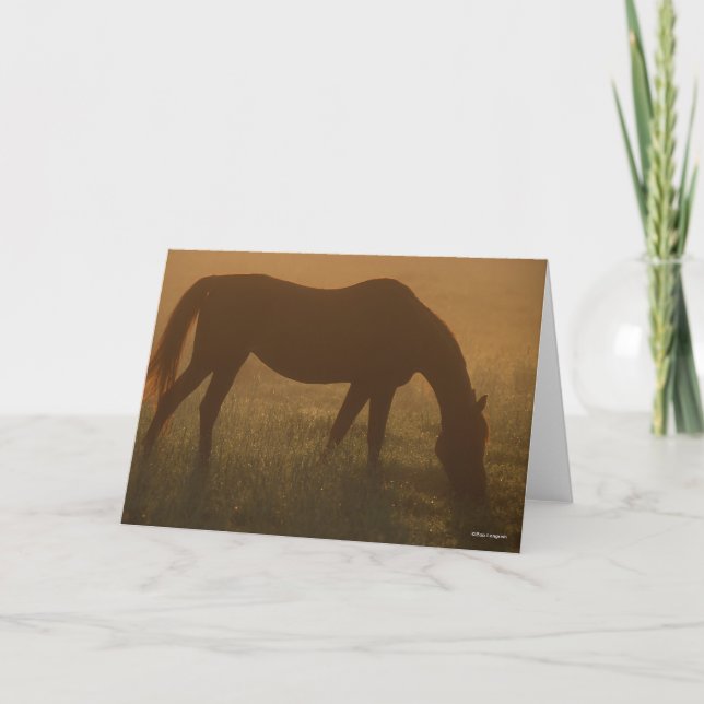 Bob Langrish | Arab Grazing In The Mist Card (Front)