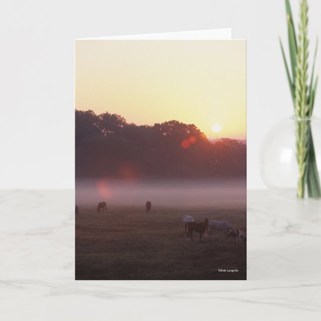 Bob Langrish | Arab Horses Grazing at Sunrise Card (Front)
