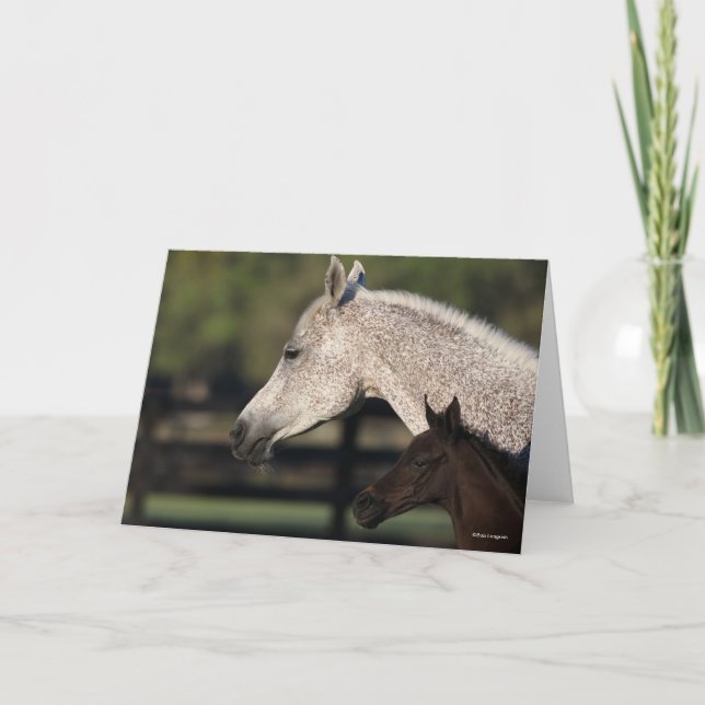 Bob Langrish | Arab Mare and Foal Headshot Card (Front)