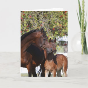 Bob Langrish   Arab Mare and Foal Standing Card