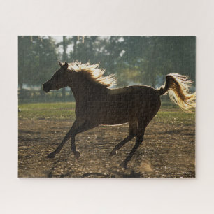 Bob Langrish   Arab Running Backlit Jigsaw Puzzle