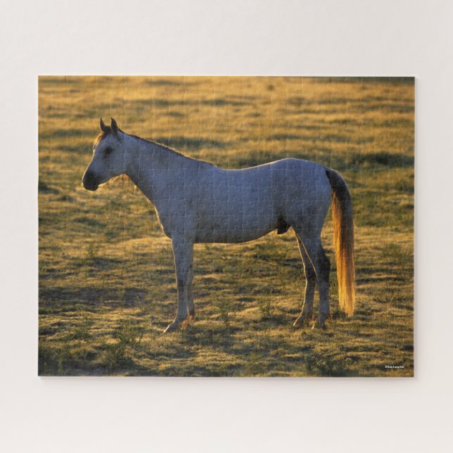 Bob Langrish | Arab Standing Backlit Jigsaw Puzzle (Horizontal)