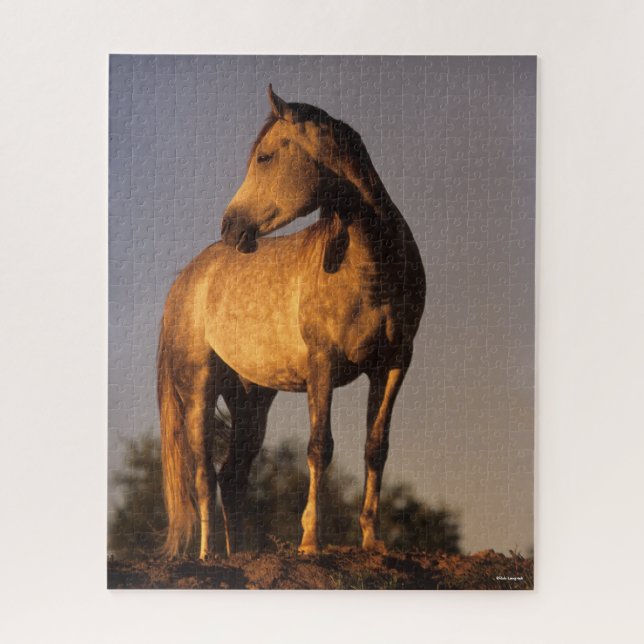 Bob Langrish | Arab Standing On Hill At Sunset Jigsaw Puzzle (Vertical)