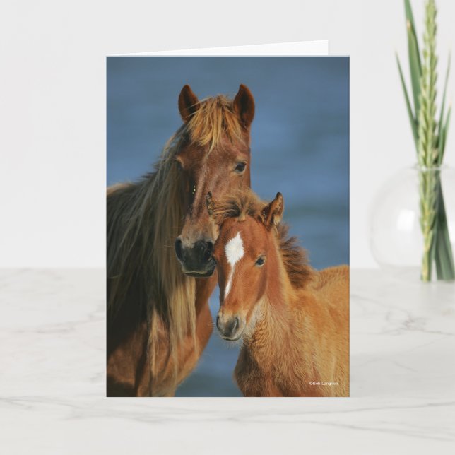 Bob Langrish | Baker Pony Mare and Foal headshot Card (Front)