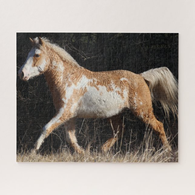 Bob Langrish Bashkir Curly Horse Stallion Walking Jigsaw Puzzle (Horizontal)