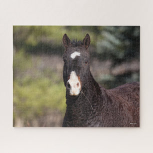 Bob Langrish   Bashkir Curly Mare headshot Jigsaw Puzzle