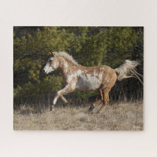Bob Langrish   Bashkir Curly Stallion Running Jigsaw Puzzle