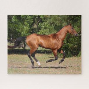 Bob Langrish   Bay Akhal Teke Stallion Running Jigsaw Puzzle