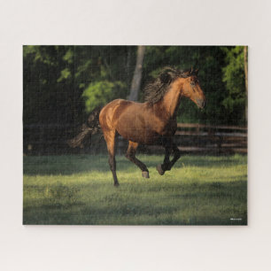 Bob Langrish   Bay Andalucian Horse Running Jigsaw Puzzle