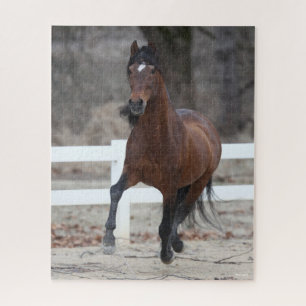 Bob Langrish   Bay Andalucian Stallion Running Jigsaw Puzzle