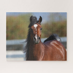 Bob Langrish Bay Arab Colt Headshot Jigsaw Puzzle