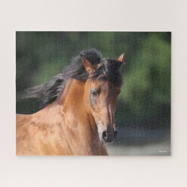 Bob Langrish | Bay Arab headshot Jigsaw Puzzle (Horizontal)
