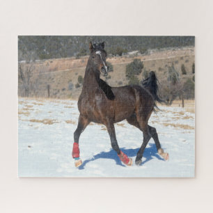 Bob Langrish   Bay Arab Horse Running In Snow Jigsaw Puzzle