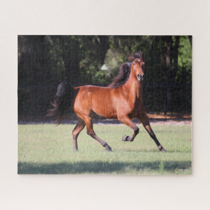 Bob Langrish   Bay Tennessee Walker Running Jigsaw Puzzle