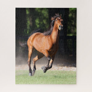 Bob Langrish   Bay Tennessee Walker Running Jigsaw Puzzle