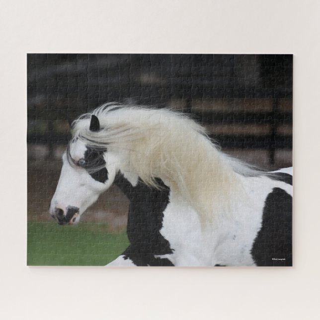 Bob Langrish Black And White Gypsy Vanner Headshot Jigsaw Puzzle (Horizontal)