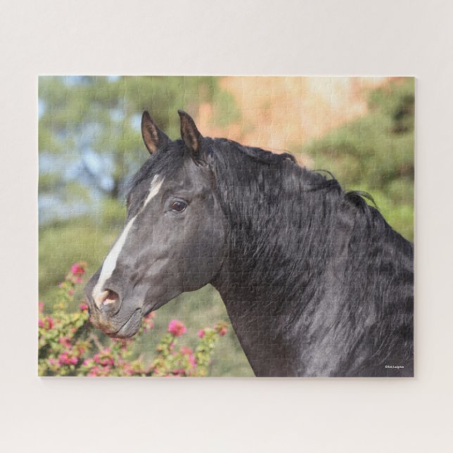 Bob Langrish | Black Andalucian Stallion headshot Jigsaw Puzzle (Horizontal)