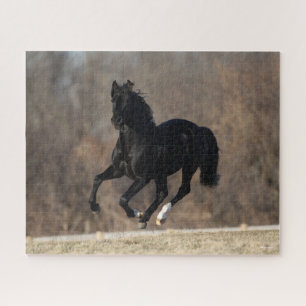 Bob Langrish   Black Andalucian Stallion Running Jigsaw Puzzle
