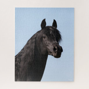 Bob Langrish Black Arab Stallion headshot Jigsaw Puzzle