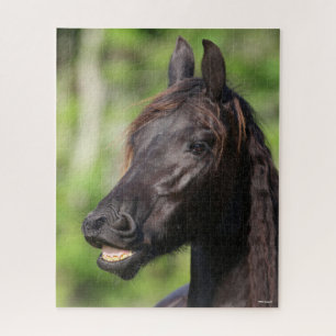 Bob Langrish Black Friesian Flehmen Headshot Jigsaw Puzzle
