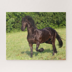 Bob Langrish   Black Friesian Horse Running Jigsaw Puzzle