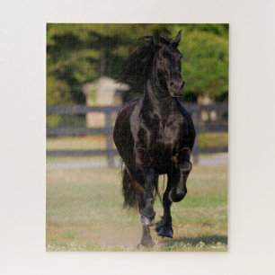 Bob Langrish   Black Friesian Mare Running Jigsaw Puzzle