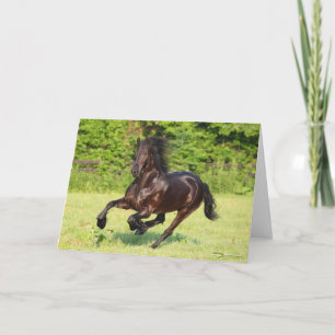 Bob Langrish   Black Friesian Running Card