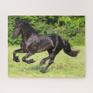 Bob Langrish   Black Friesian Running Jigsaw Puzzle