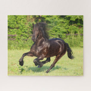 Bob Langrish   Black Friesian Running Jigsaw Puzzle