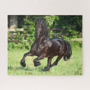 Bob Langrish   Black Friesian Running Jigsaw Puzzle