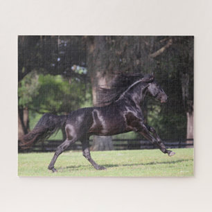 Bob Langrish   Black Lusitano Running Jigsaw Puzzle
