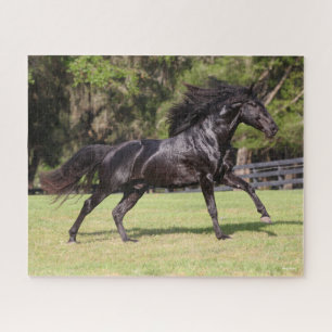 Bob Langrish   Black Lusitano Running Jigsaw Puzzle