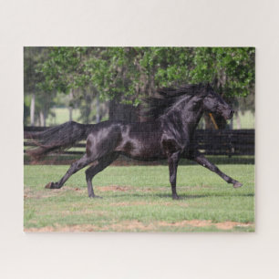 Bob Langrish   Black Lusitano Running Mane Flowing Jigsaw Puzzle