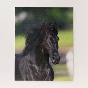 Bob Langrish   Black Rocky Mountain Horse headshot Jigsaw Puzzle